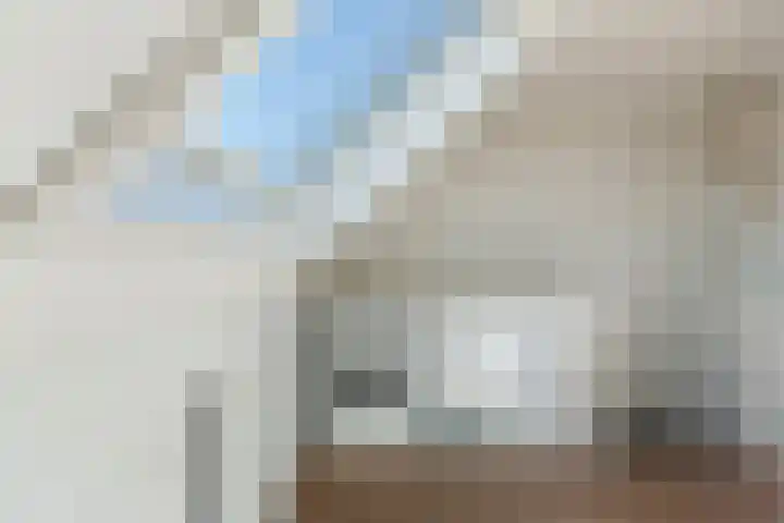 IJsvogel 41 Maarssen thumbnail 44