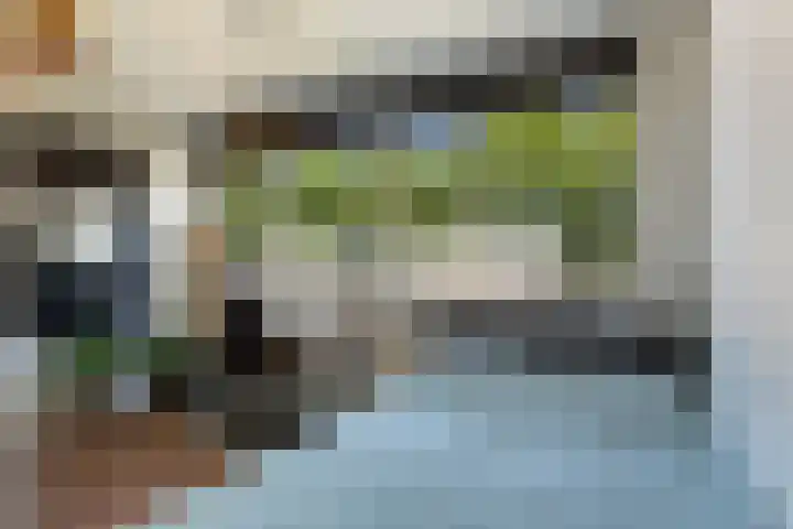 IJsvogel 41 Maarssen thumbnail 45