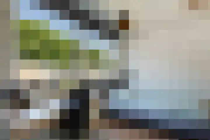 IJsvogel 41 Maarssen thumbnail 46