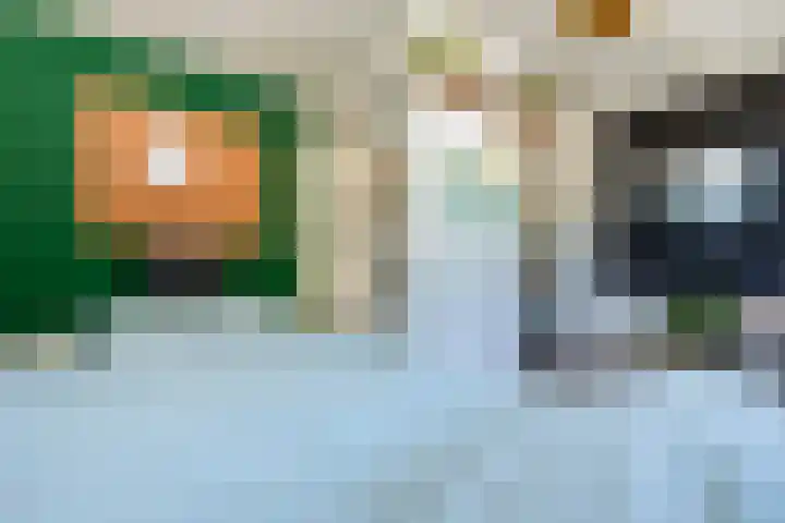 IJsvogel 41 Maarssen thumbnail 47