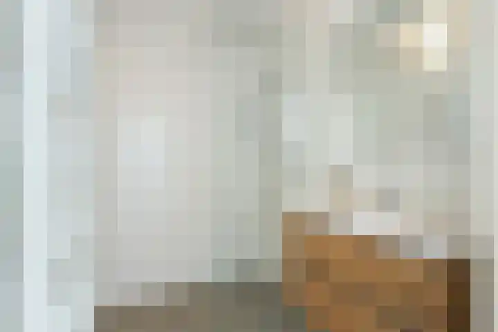 IJsvogel 41 Maarssen thumbnail 48