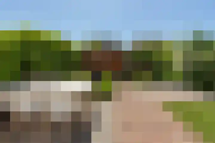 IJsvogel 41 Maarssen thumbnail 49