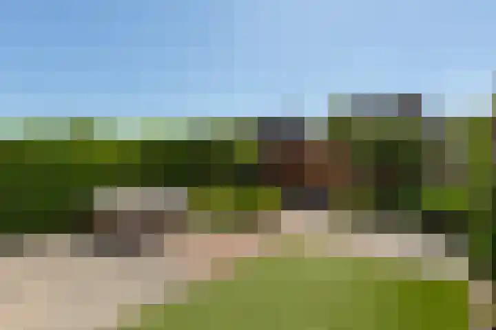 IJsvogel 41 Maarssen thumbnail 50