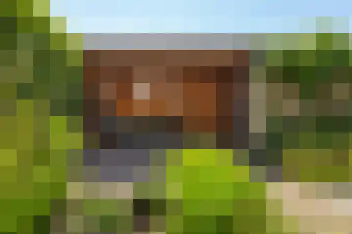 IJsvogel 41 Maarssen thumbnail 51