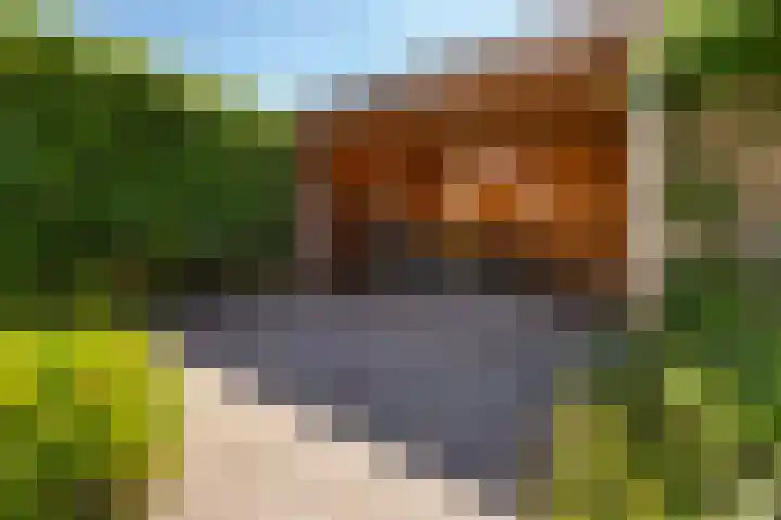 IJsvogel 41 Maarssen thumbnail 52