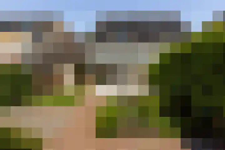 IJsvogel 41 Maarssen thumbnail 53