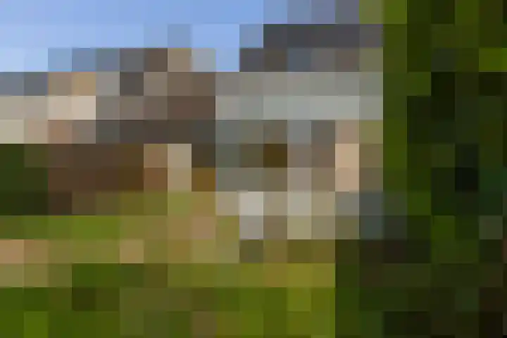 IJsvogel 41 Maarssen thumbnail 54