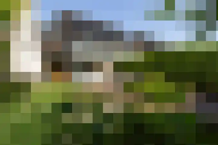 IJsvogel 41 Maarssen thumbnail 55