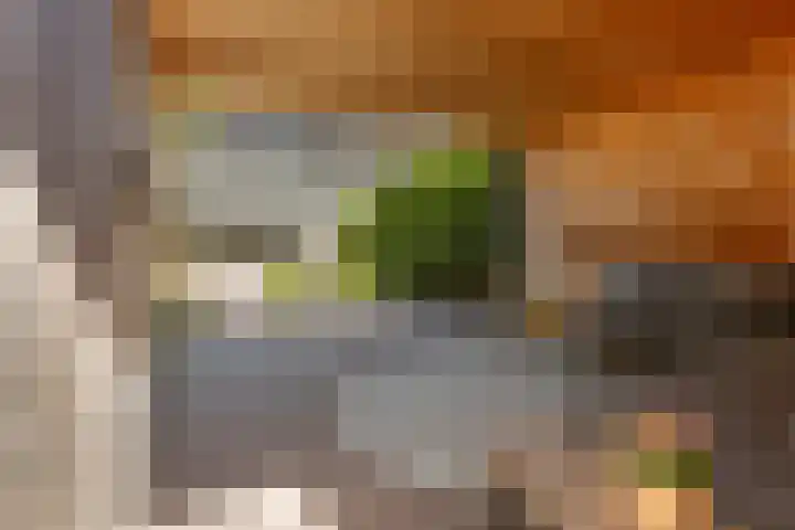 IJsvogel 41 Maarssen thumbnail 56