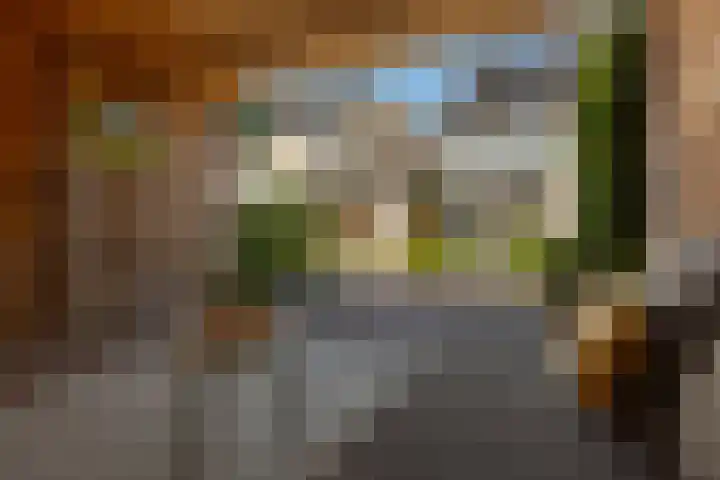 IJsvogel 41 Maarssen thumbnail 57