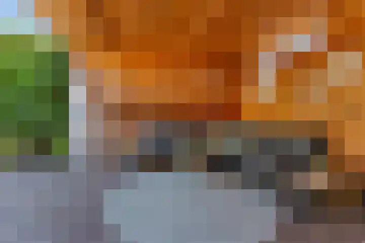 IJsvogel 41 Maarssen thumbnail 58