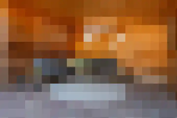 IJsvogel 41 Maarssen thumbnail 59