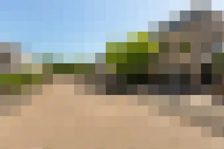 IJsvogel 41 Maarssen thumbnail 6