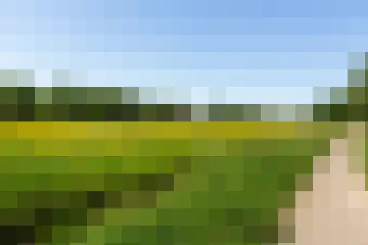 IJsvogel 41 Maarssen thumbnail 61