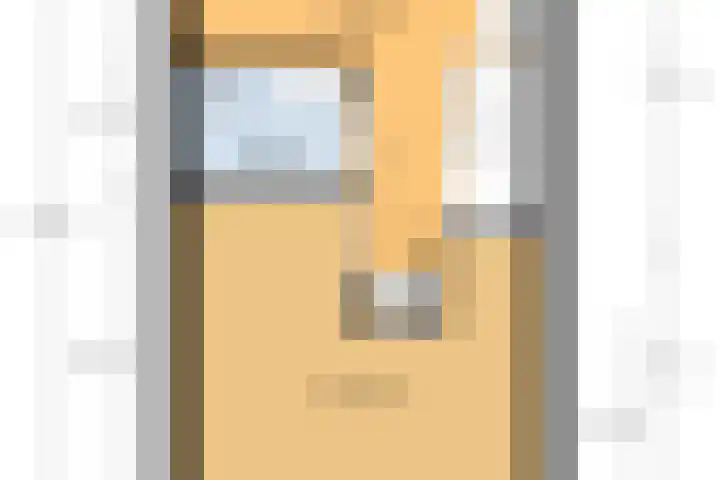 IJsvogel 41 Maarssen thumbnail 67