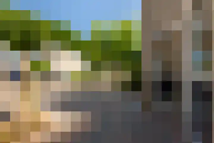 IJsvogel 41 Maarssen thumbnail 7