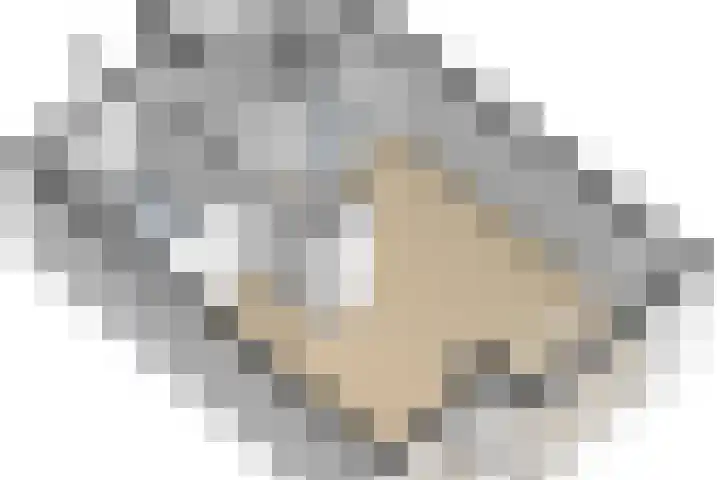 IJsvogel 41 Maarssen thumbnail 70