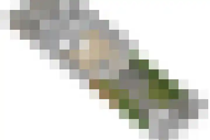 IJsvogel 41 Maarssen thumbnail 72