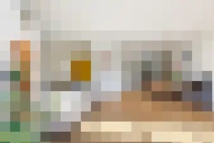 IJsvogel 41 Maarssen thumbnail 73