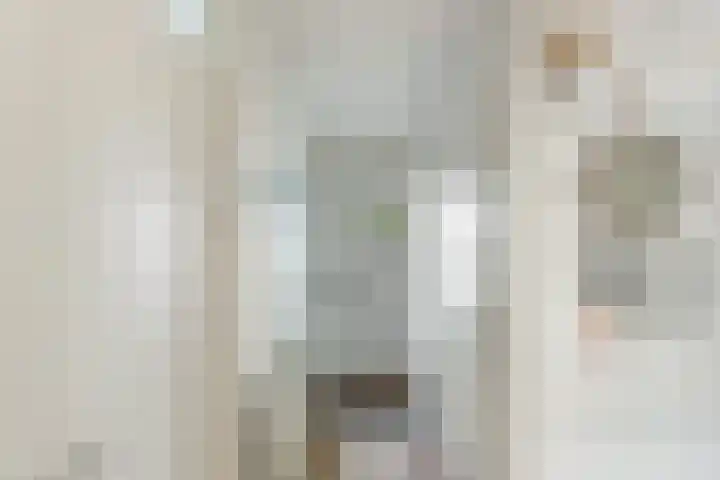 IJsvogel 41 Maarssen thumbnail 8