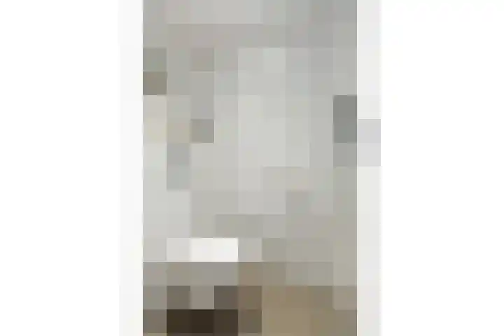 IJsvogel 41 Maarssen thumbnail 9
