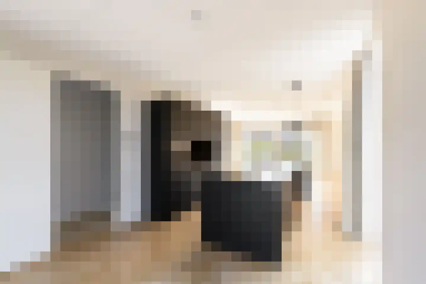 IJsvogel 41 Muiden thumbnail 10