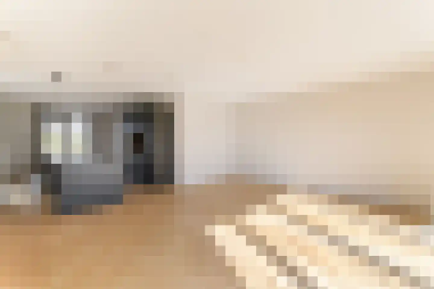 IJsvogel 41 Muiden thumbnail 10