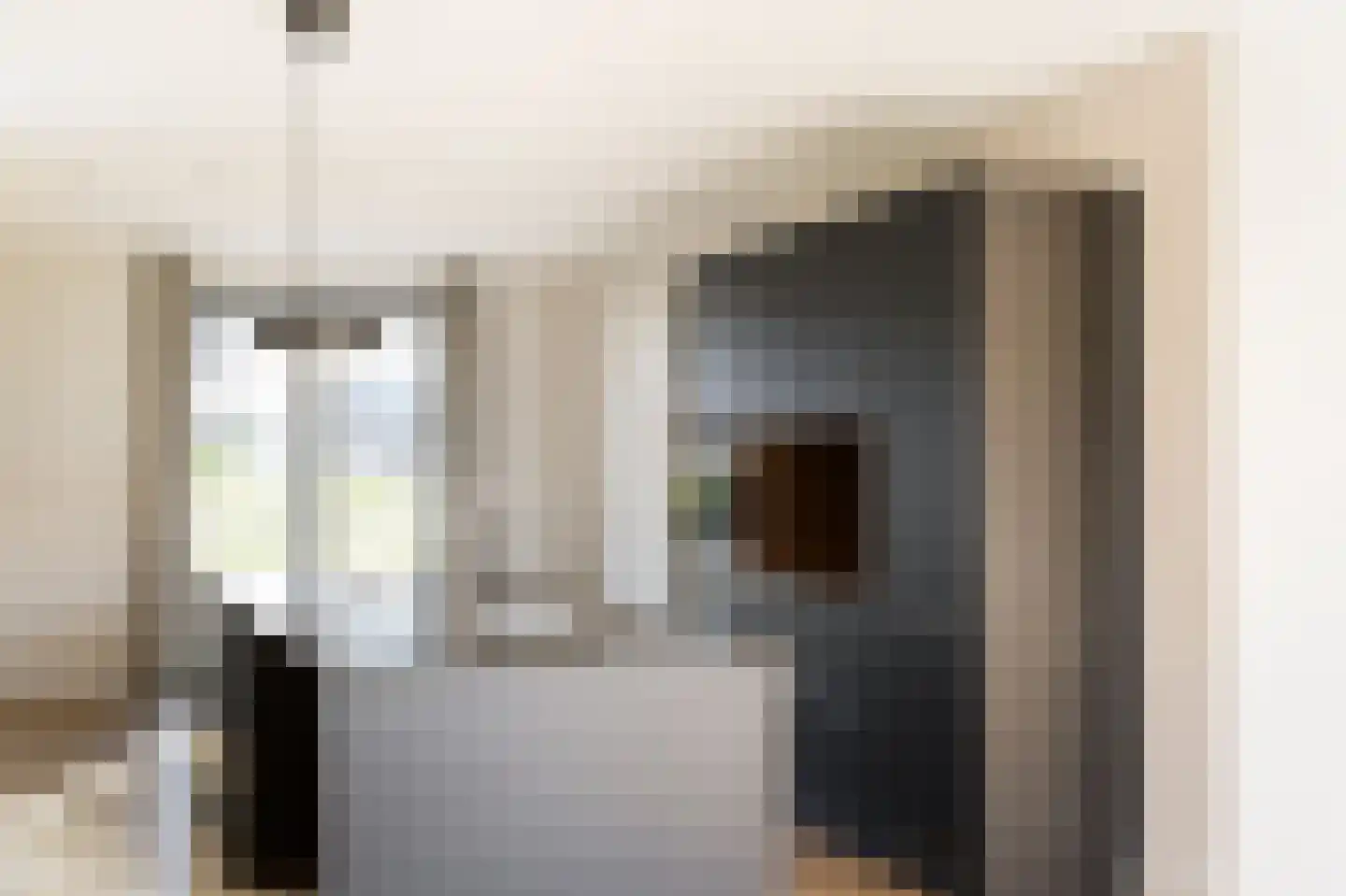 IJsvogel 41 Muiden thumbnail 11