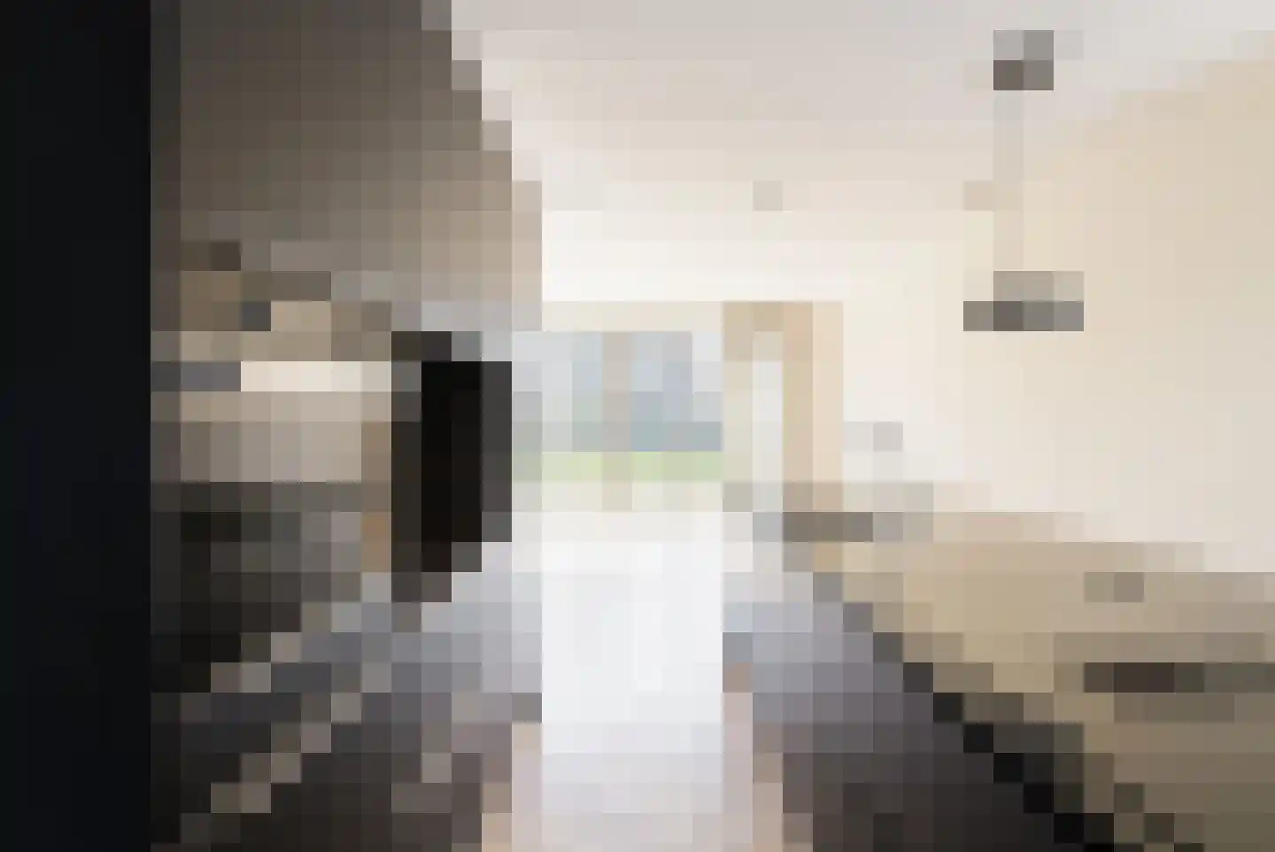 IJsvogel 41 Muiden thumbnail 12