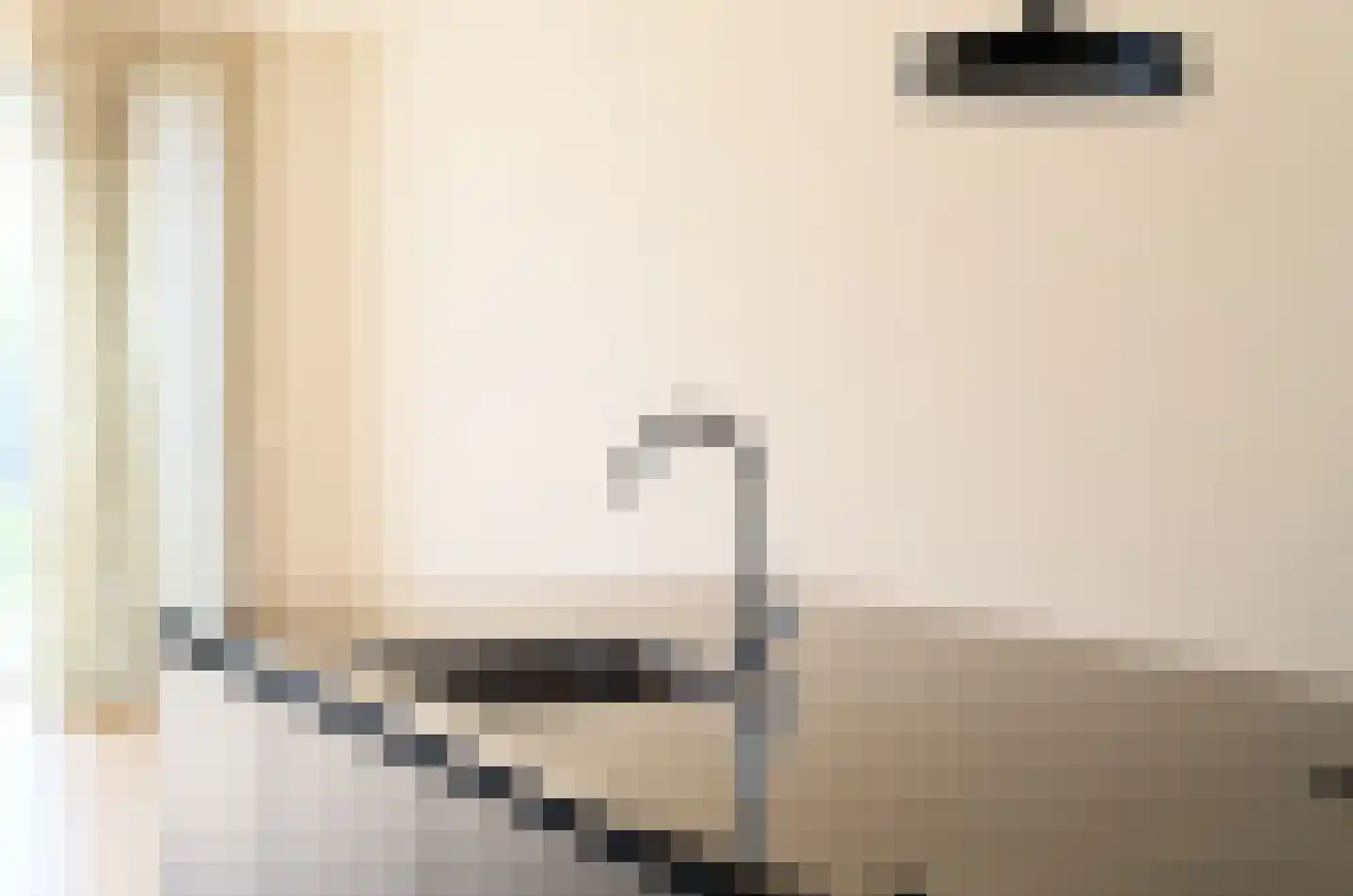 IJsvogel 41 Muiden thumbnail 13