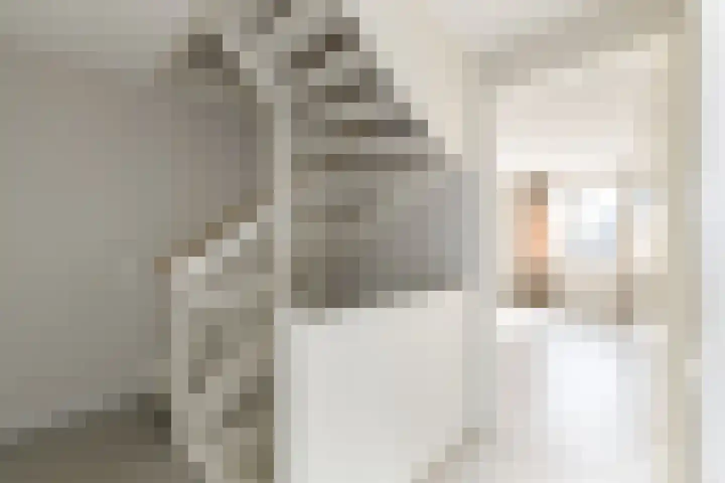 IJsvogel 41 Muiden thumbnail 15