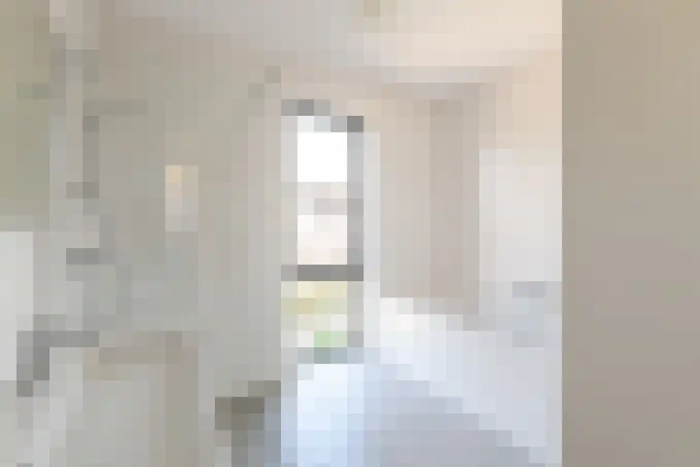 IJsvogel 41 Muiden thumbnail 18