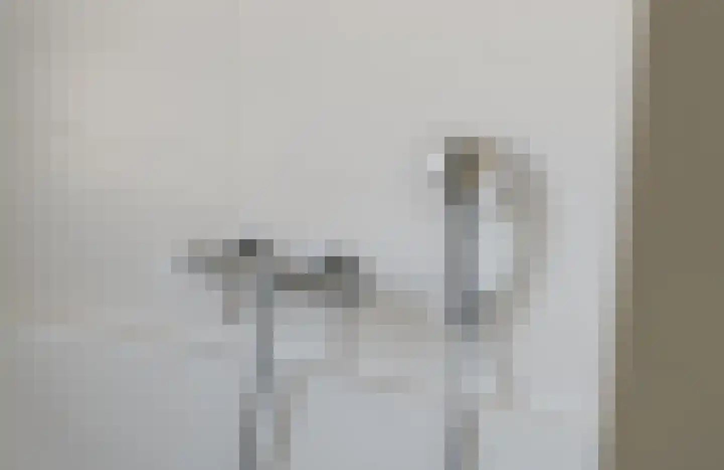 IJsvogel 41 Muiden thumbnail 18