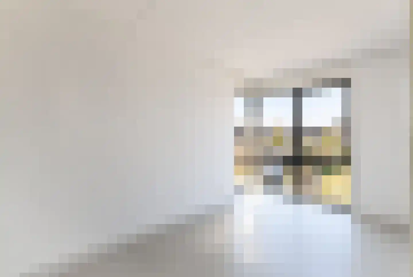 IJsvogel 41 Muiden thumbnail 19