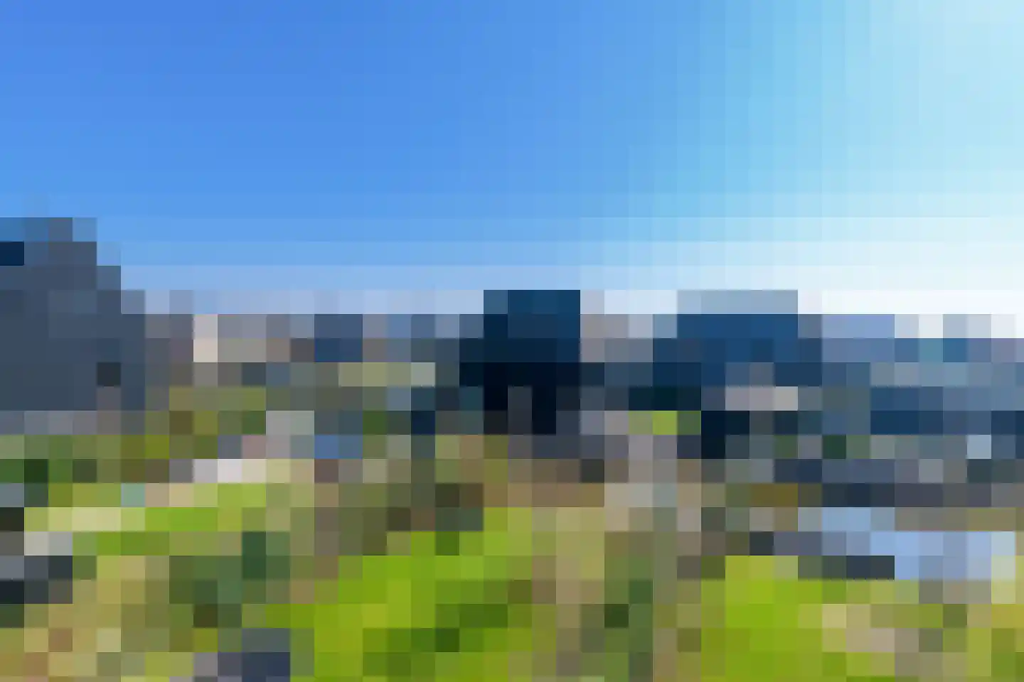 IJsvogel 41 Muiden foto 2