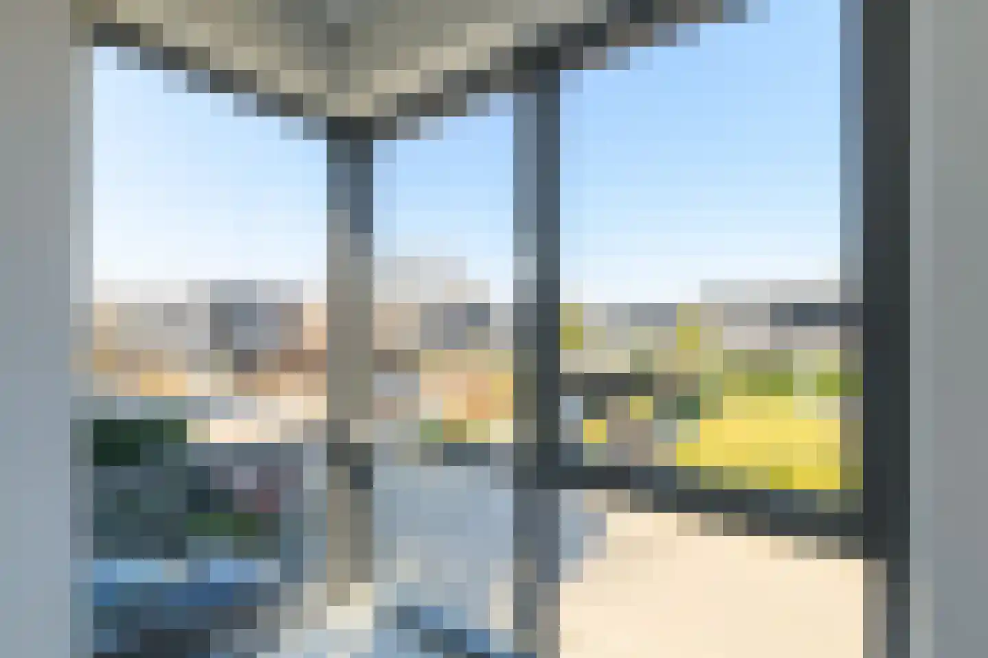 IJsvogel 41 Muiden thumbnail 20