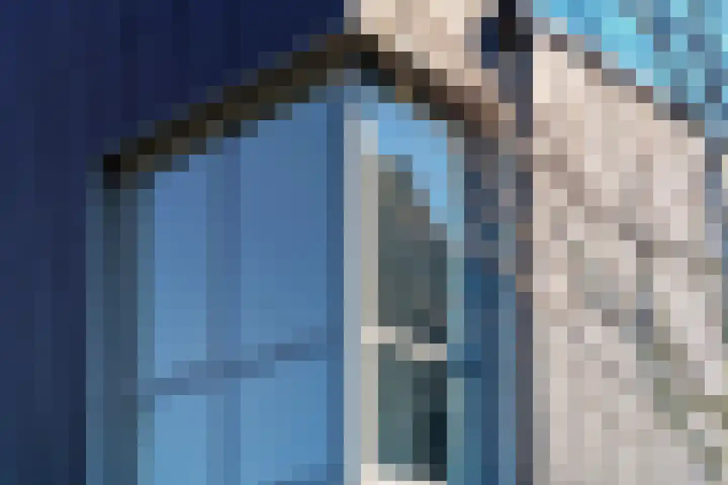 IJsvogel 41 Muiden thumbnail 21