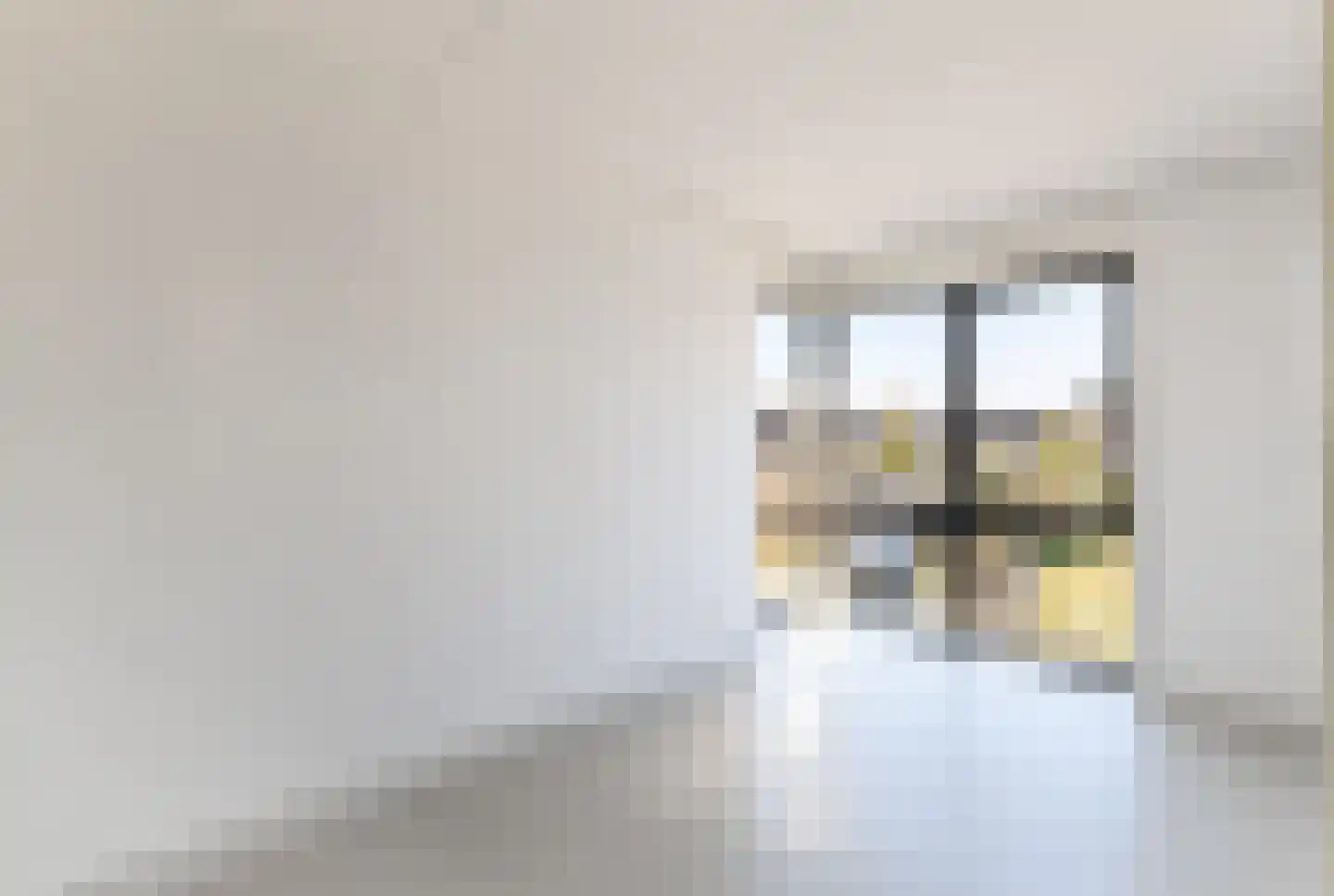 IJsvogel 41 Muiden thumbnail 21