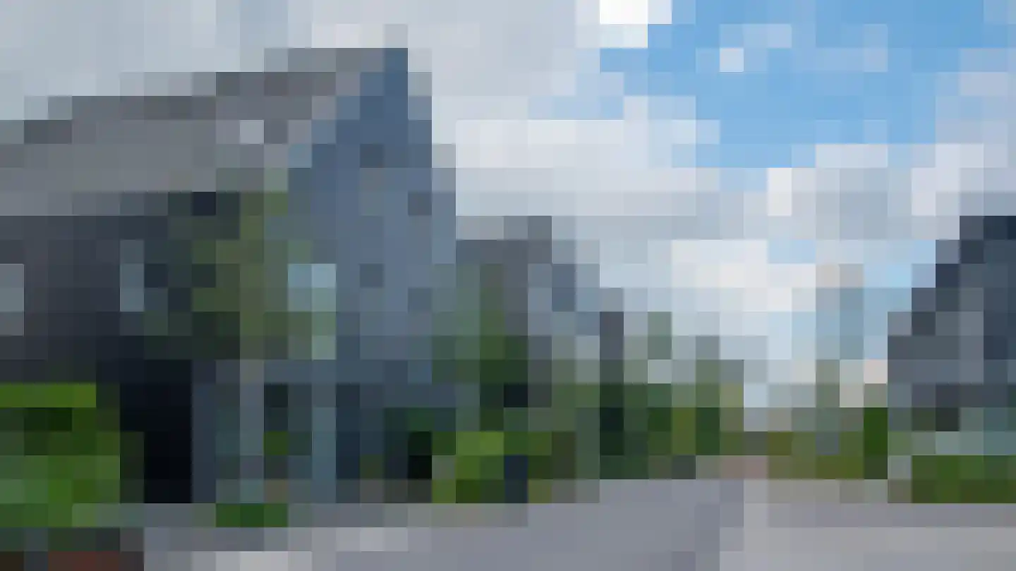 IJsvogel 41 Muiden thumbnail 23