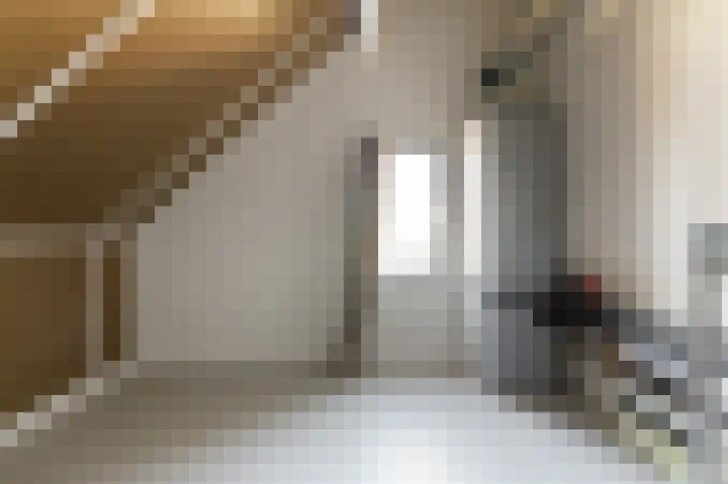 IJsvogel 41 Muiden thumbnail 28