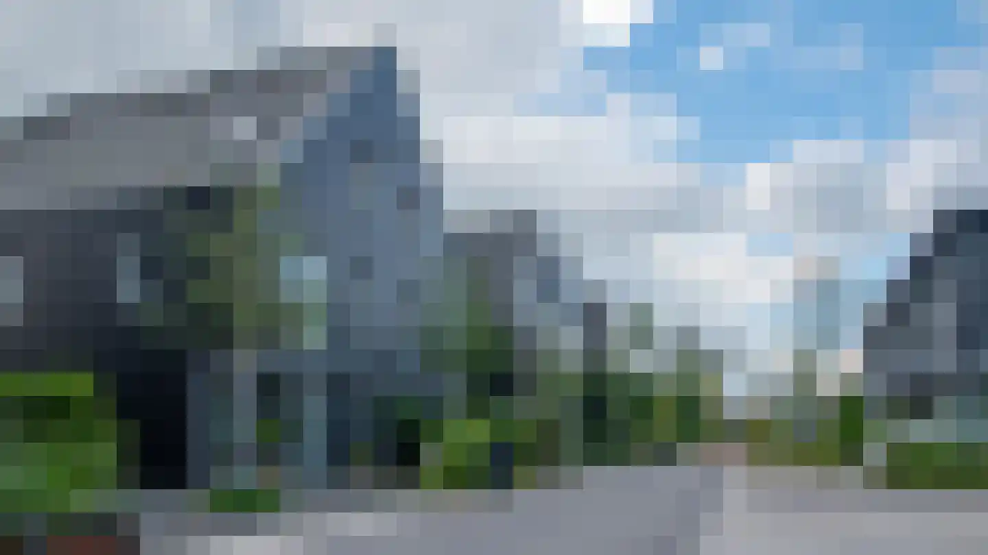 IJsvogel 41 Muiden thumbnail 35