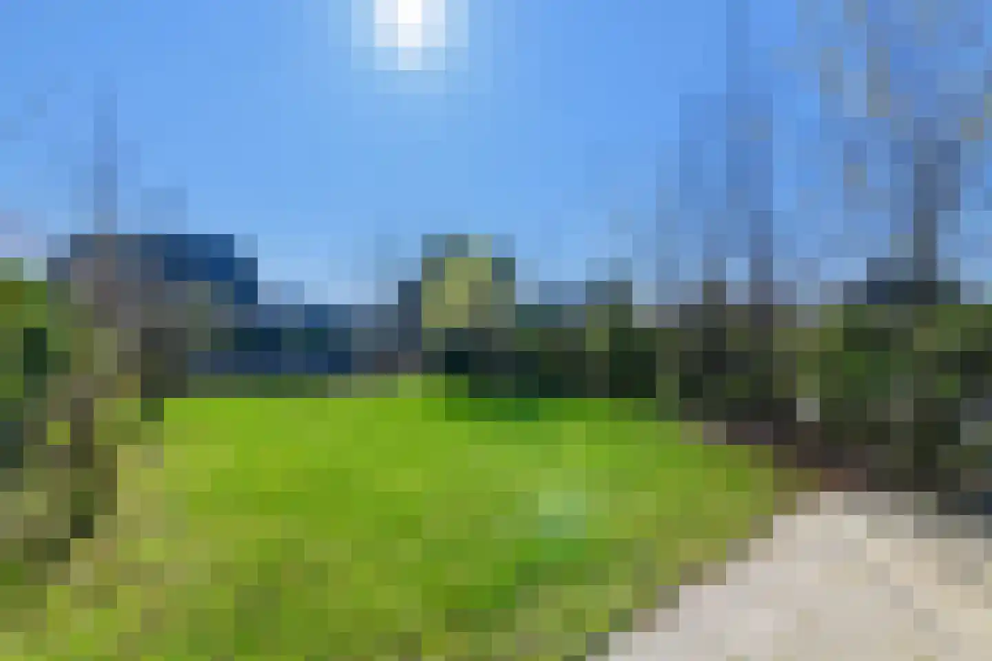 IJsvogel 41 Muiden thumbnail 4