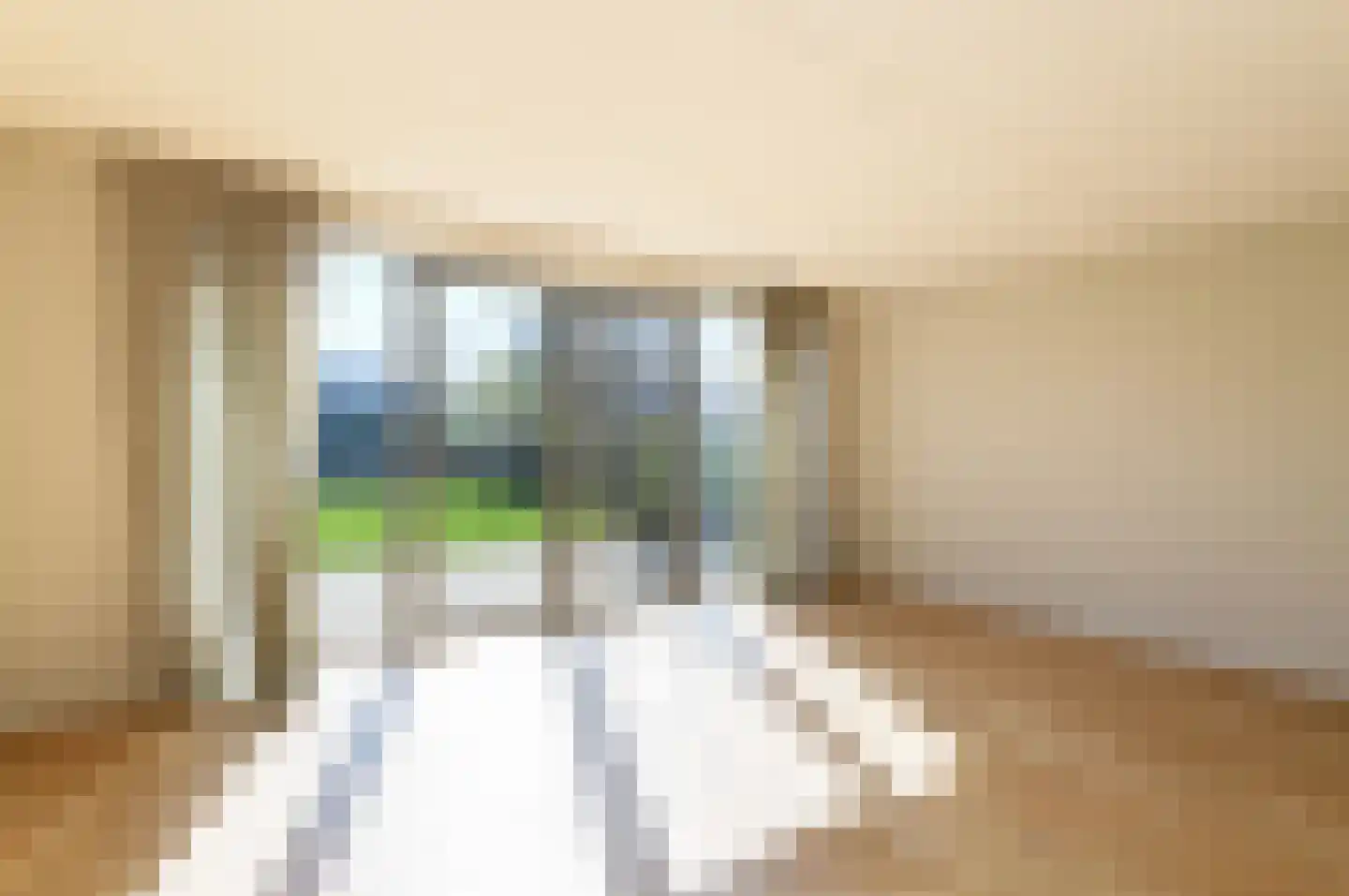 IJsvogel 41 Muiden thumbnail 5
