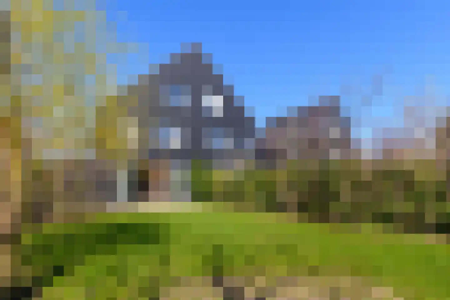 IJsvogel 41 Muiden thumbnail 6
