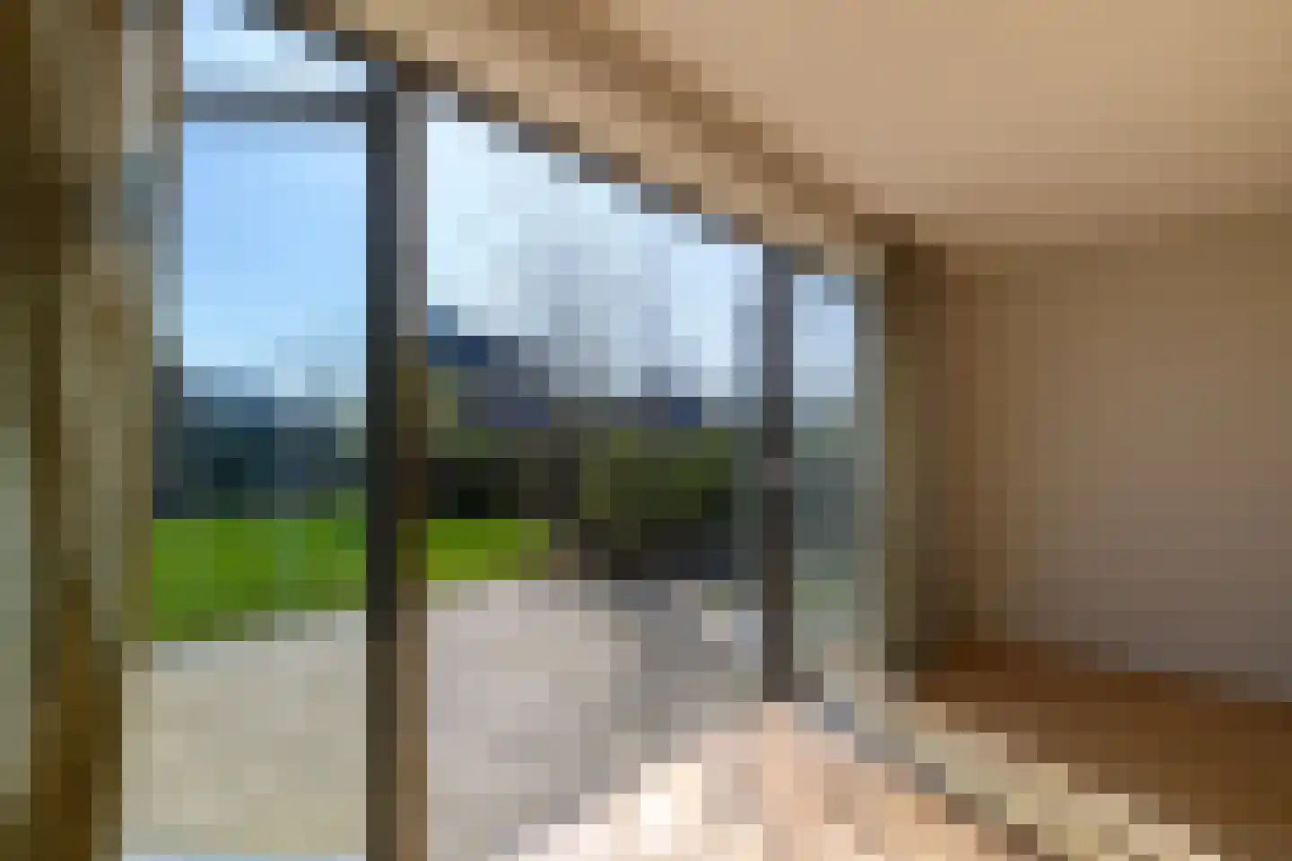 IJsvogel 41 Muiden thumbnail 7
