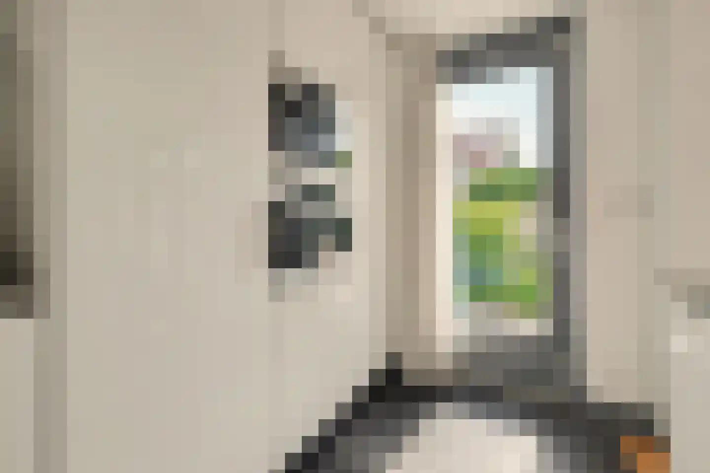 IJsvogel 48 Vught thumbnail 11