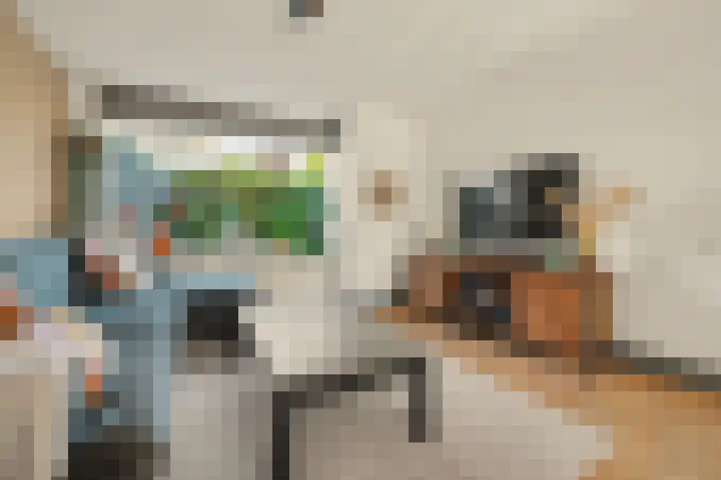 IJsvogel 48 Vught thumbnail 15