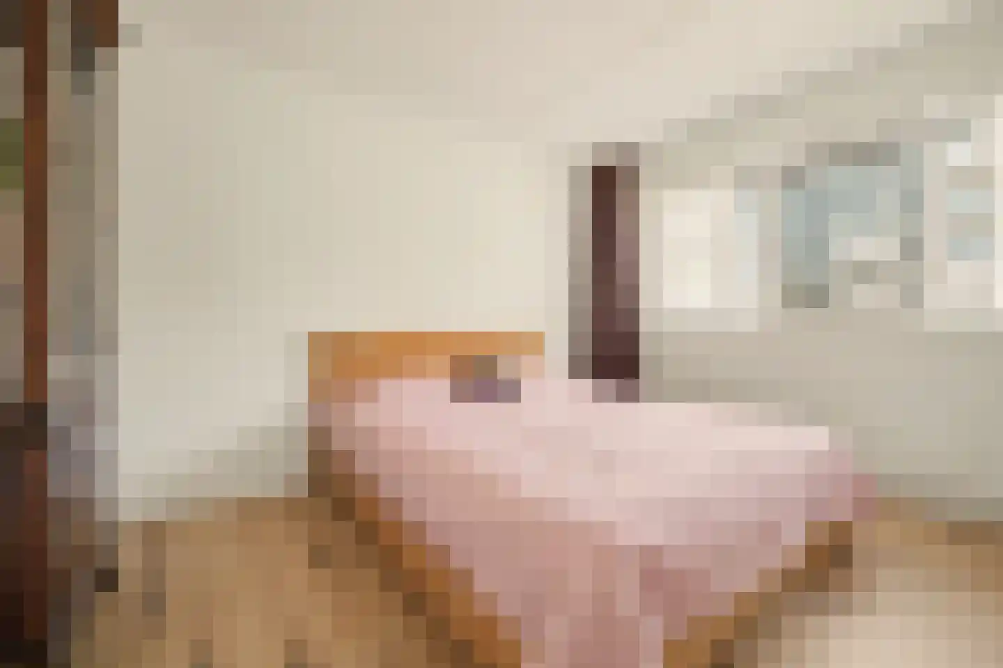 IJsvogel 48 Vught thumbnail 20