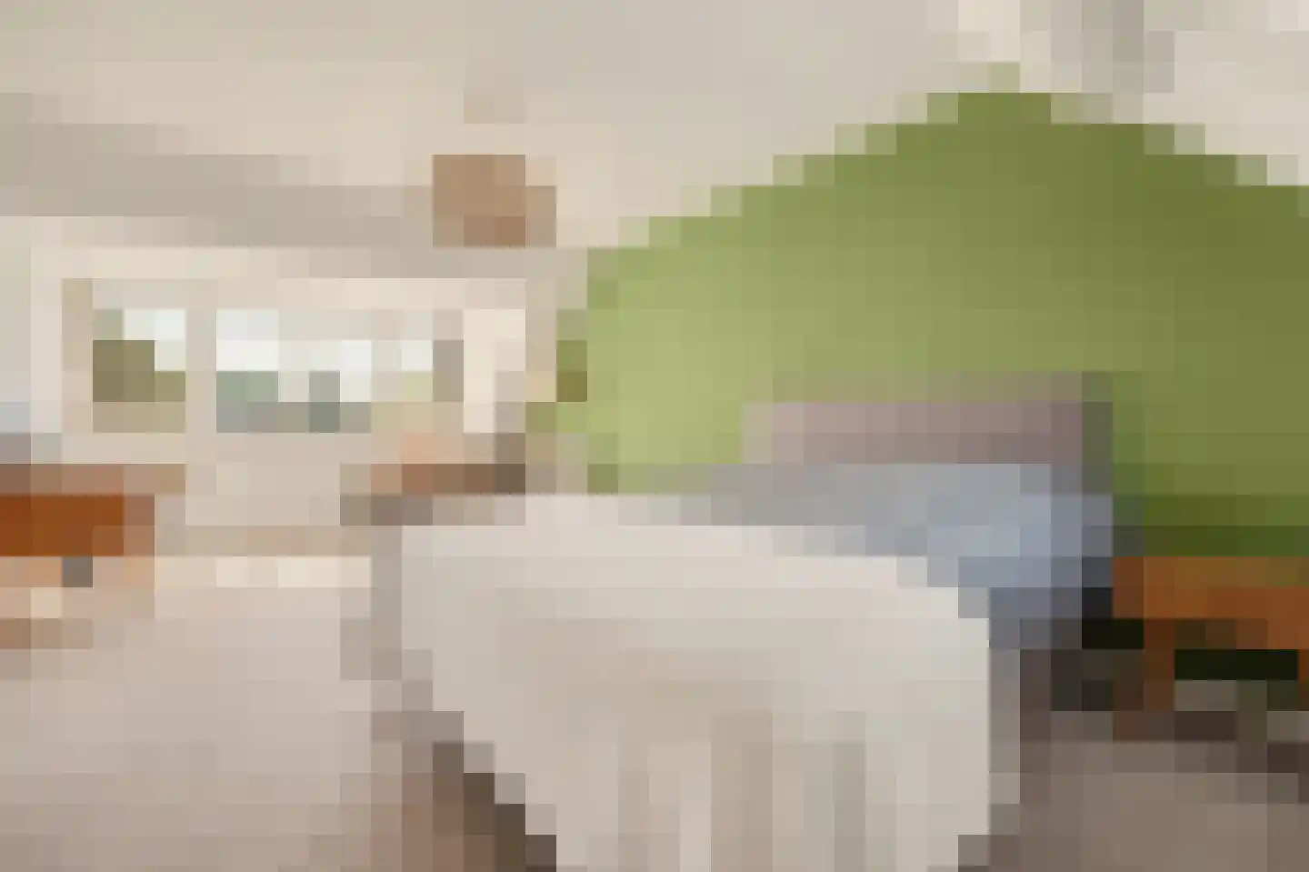 IJsvogel 48 Vught thumbnail 30