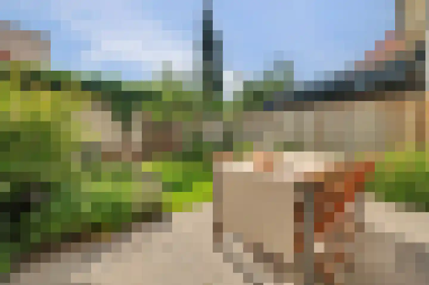 IJsvogel 48 Vught thumbnail 38